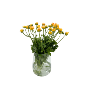 נוריות צהוב