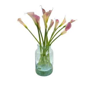 קאלות סגול לילך