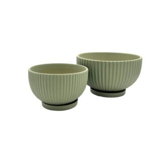 סט קערות פסים ירוק בהיר