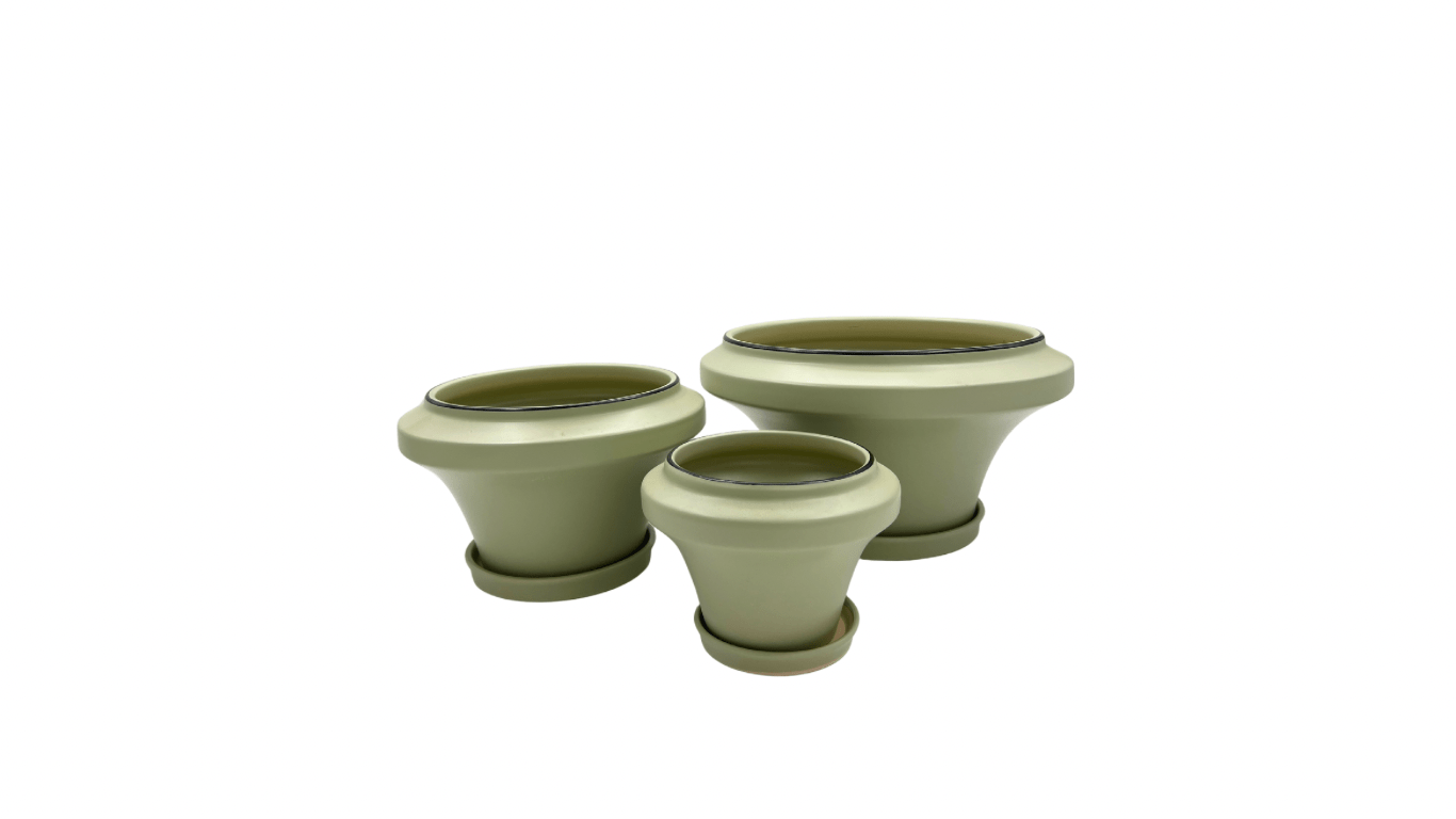 סט אלי ירוק