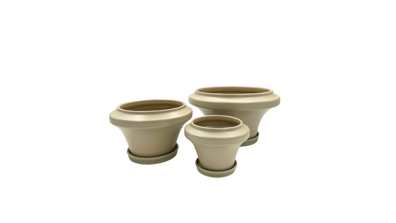 סט אלי שמנת