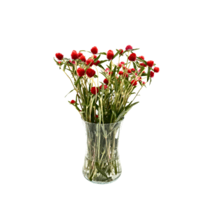 גופרנה אדום