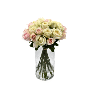 הכי קלאסי בלבן