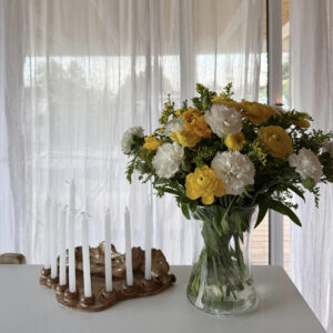 מארז "ויהי אור"