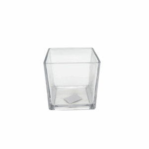 ואזה ג'סיקה