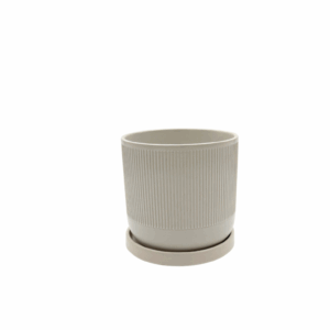 כלי איתי לבן