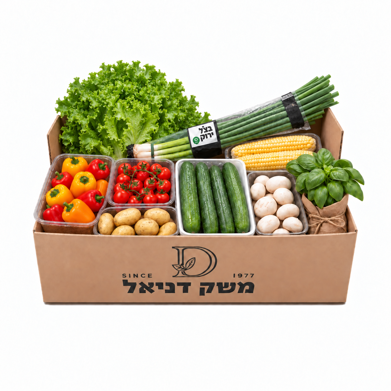 מארחים בסוכה
